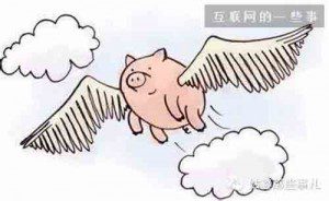 互联网十大失败案