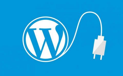 WordPress文章浏览次数统计插件