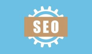 在做SEO优化中，网站不收录有哪些原因呢？