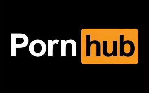 Pornhub一夜下架八百八十万视频