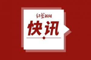 百香果女孩案凶手杨光毅被执行死刑