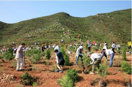 植树节:为什么植树是公民义务
