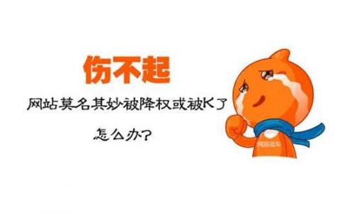 企业网站被降权的四大因素分析