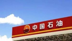国务院联合调查组对中石油燃料油公司倒卖进口原油问题进行严肃调查处理