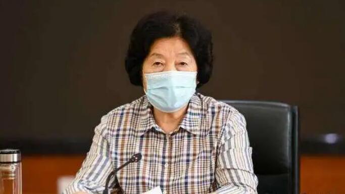 孙春兰谈西安群众看病难：十分痛心