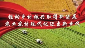 2022年中央一号文件提出推动乡村振兴取得新进展