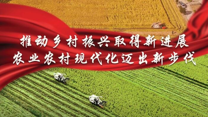 2022年中央一号文件发布