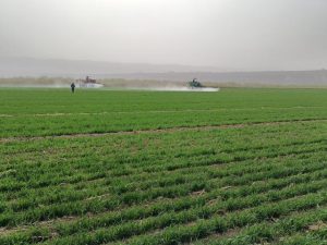 “藏粮于地，藏粮于技”：中国力保端牢粮食“饭碗”