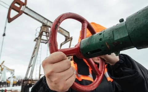 无视美国白宫警告 印度3月大量进口俄罗斯石油