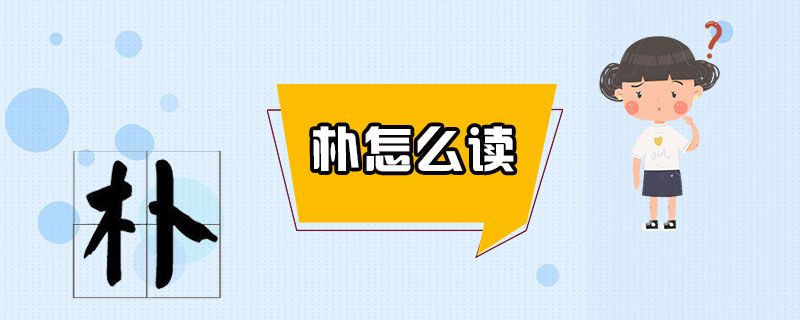 朴怎么读