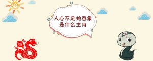 人心不足蛇吞象是什么生肖