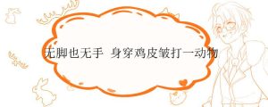 无脚也无手 身穿鸡皮皱打一动物