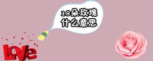 18朵玫瑰什么意思