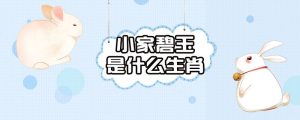 小家碧玉是什么生肖