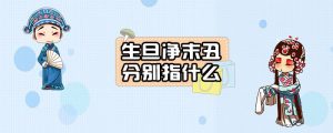 生旦净末丑分别指什么