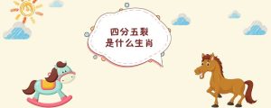 四分五裂是什么生肖