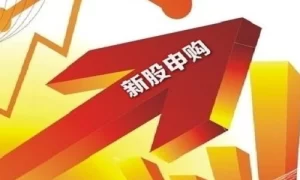 新股网上发行和新股网下发行有什么区别？