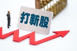 股票知识| 股票知识–新股
