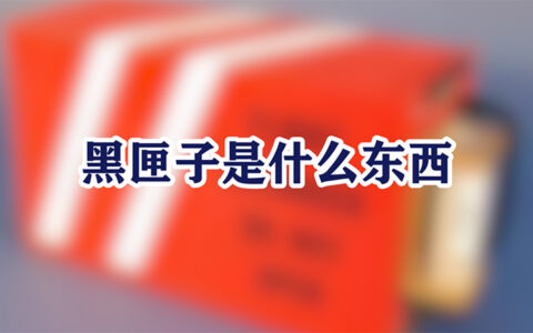 黑匣子是什么东西