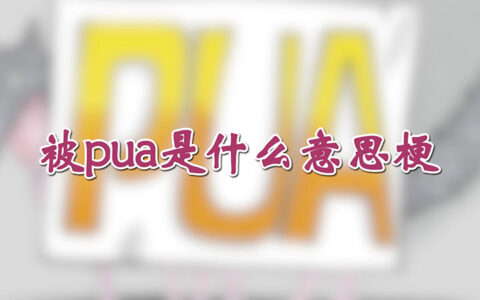 被pua是什么意思梗