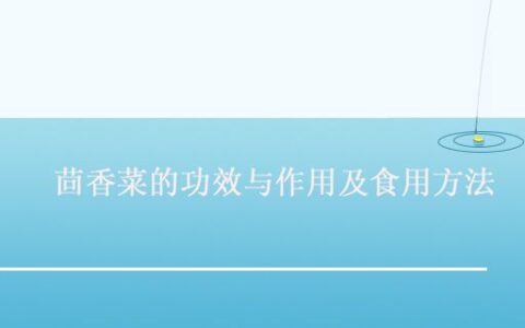 茴香菜的功效与作用及食用方法