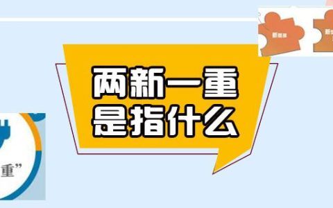 两新一重是指什么