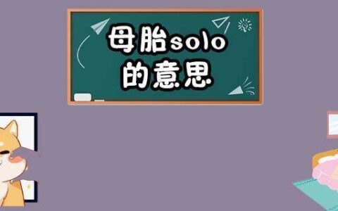 母胎solo的意思