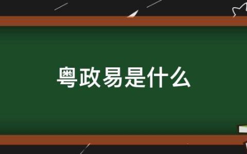 粤政易是什么