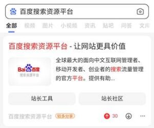 2022年如何获得网站LOGO权限