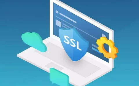 ssl加速是什么意思?如何实现ssl加速?