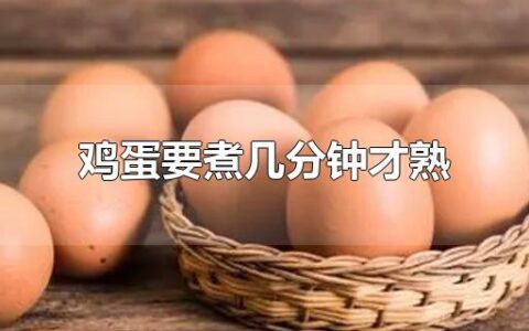 鸡蛋要煮几分钟才熟