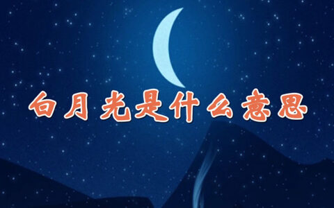 白月光是什么意思