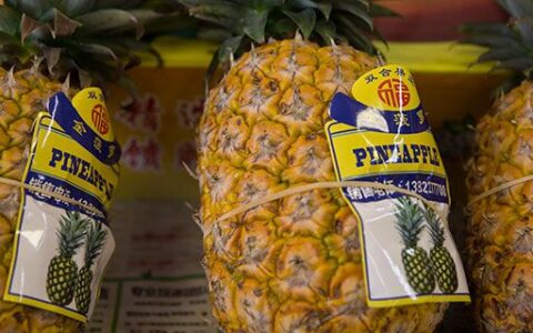 凤梨用泡盐水吃吗