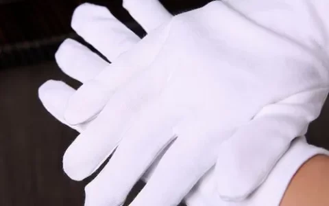 白手套是什么（网络用语、政治用语）