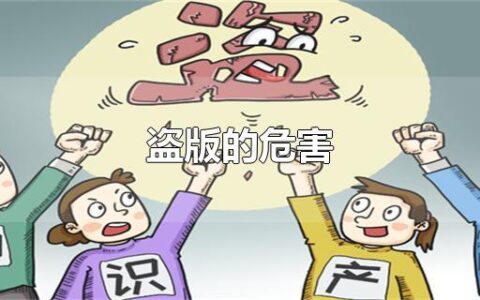 盗版的危害
