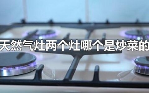 天然气灶两个灶哪个是炒菜的