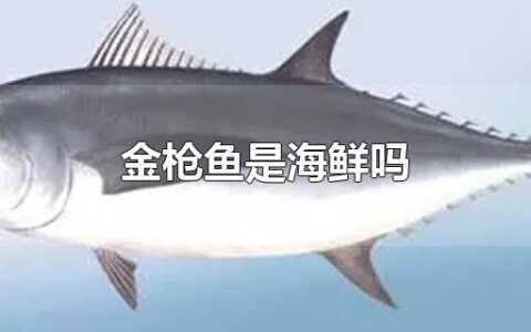 金枪鱼是海鲜吗