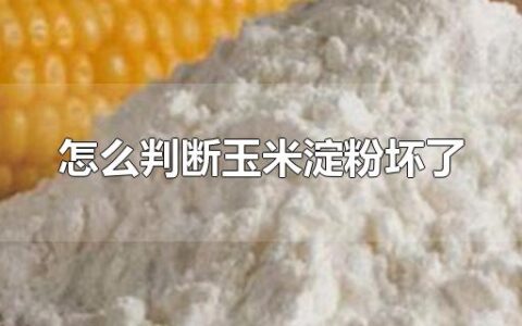 怎么判断玉米淀粉坏了