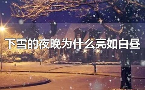 下雪的夜晚为什么亮如白昼