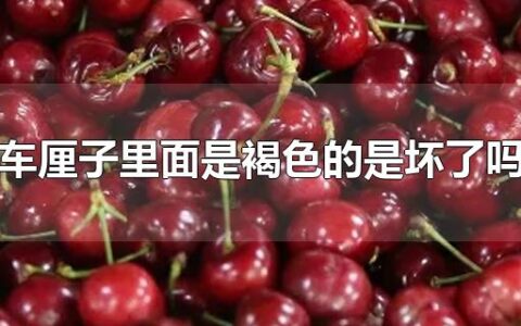 车厘子里面是褐色的是坏了吗