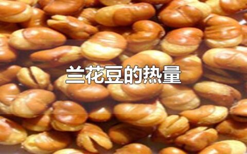 兰花豆的热量
