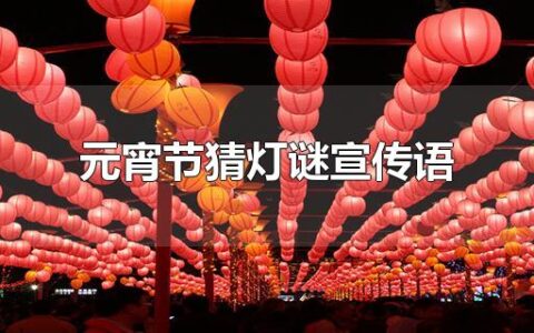 元宵节猜灯谜宣传语