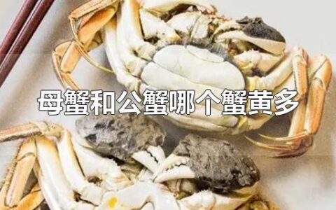 母蟹和公蟹哪个蟹黄多