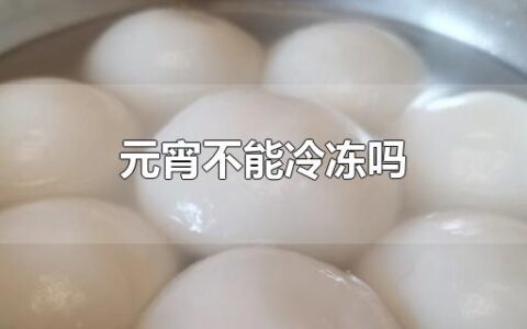 元宵不能冷冻吗