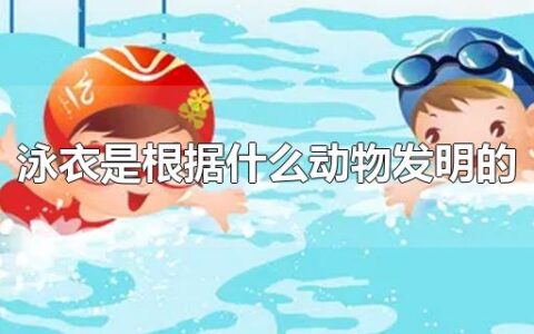泳衣是根据什么动物发明的