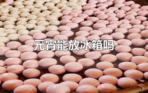 元宵能放冰箱吗