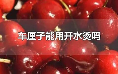 车厘子能用开水烫吗