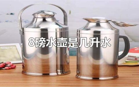 8磅水壶是几升水