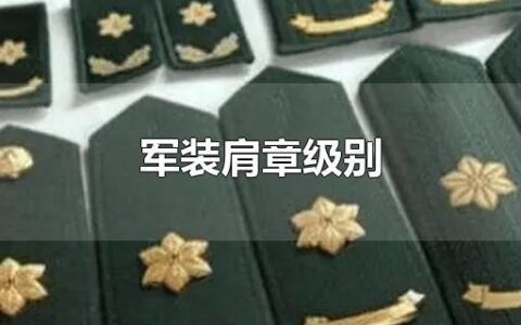 军装肩章级别