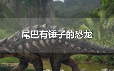 尾巴有锤子的恐龙